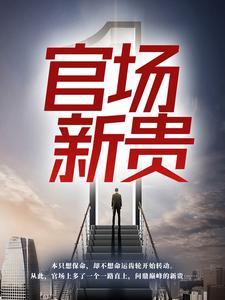 官场新贵女主